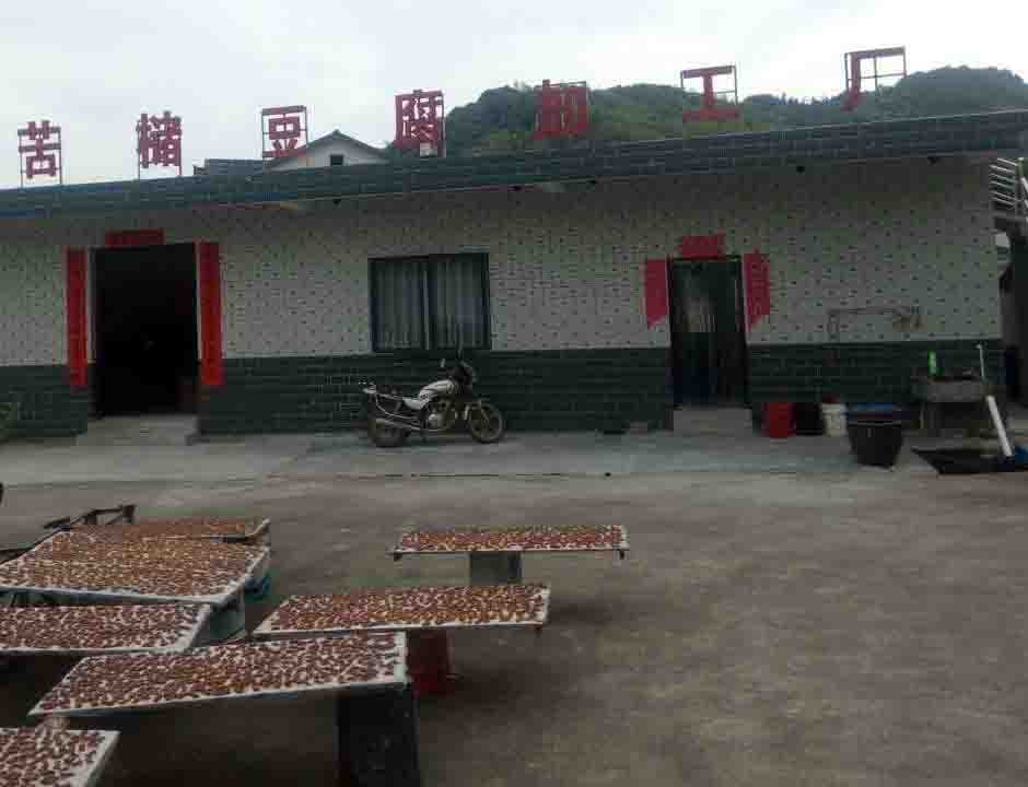 槠栗子加工厂