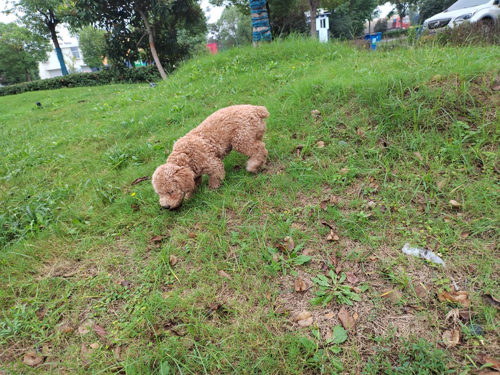 20251019162526front2_0_412020_FsRD2mOVgLCR-ILgs8rwJO-9KOqF.jpg