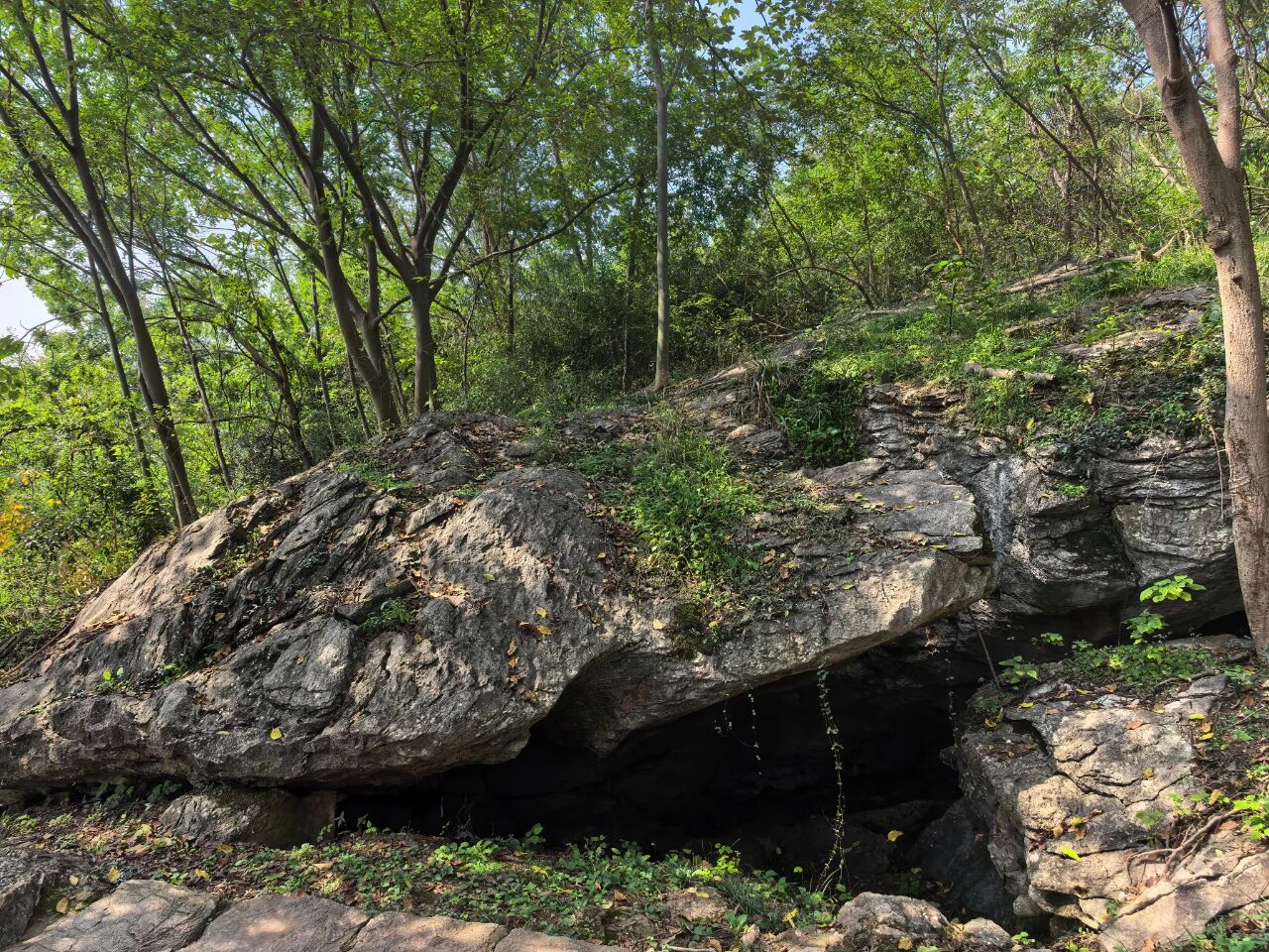 乌龟石.jpg