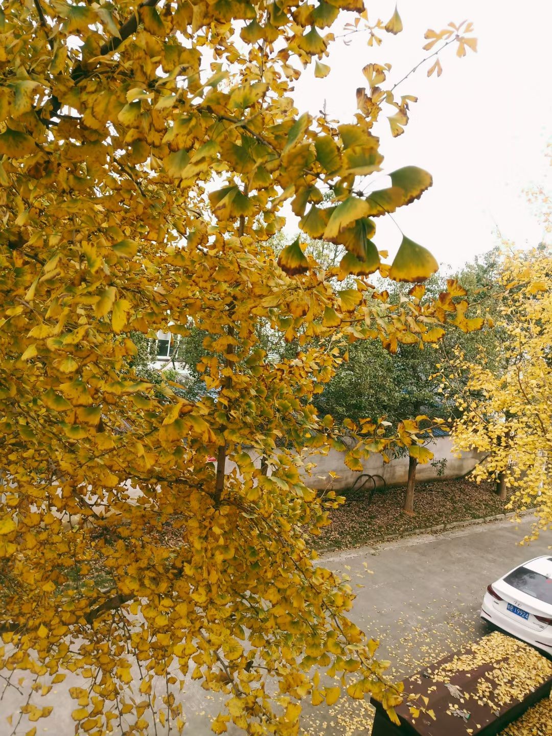 20251026175159front2_0_282676_FmTR4sbEhkOaNexeaM_iBcegoOQN.jpg