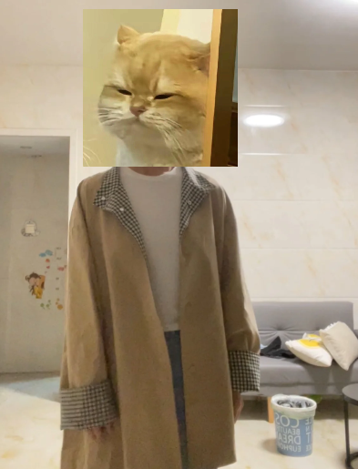 176153710317273754.png