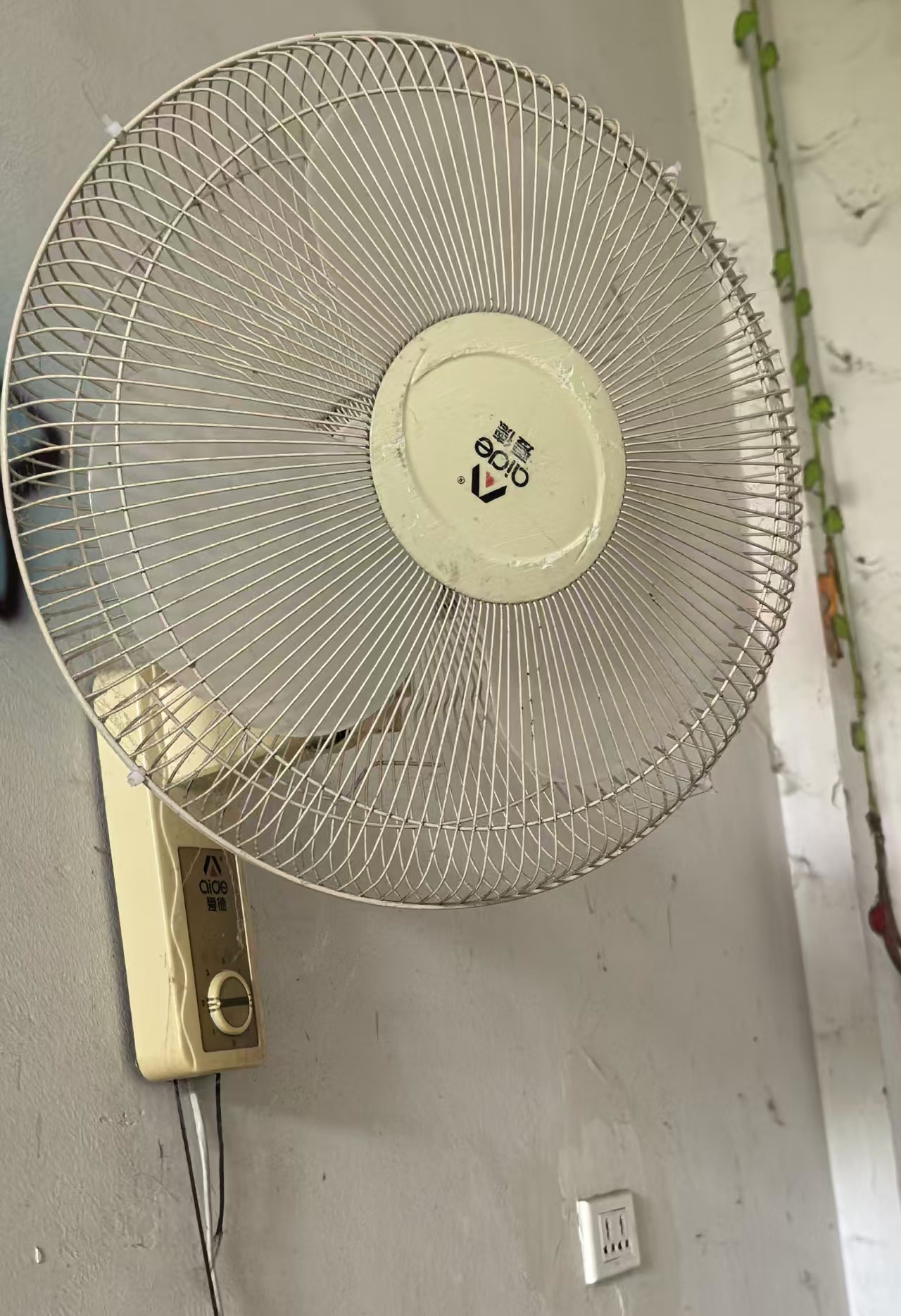 壁扇20个，15/个