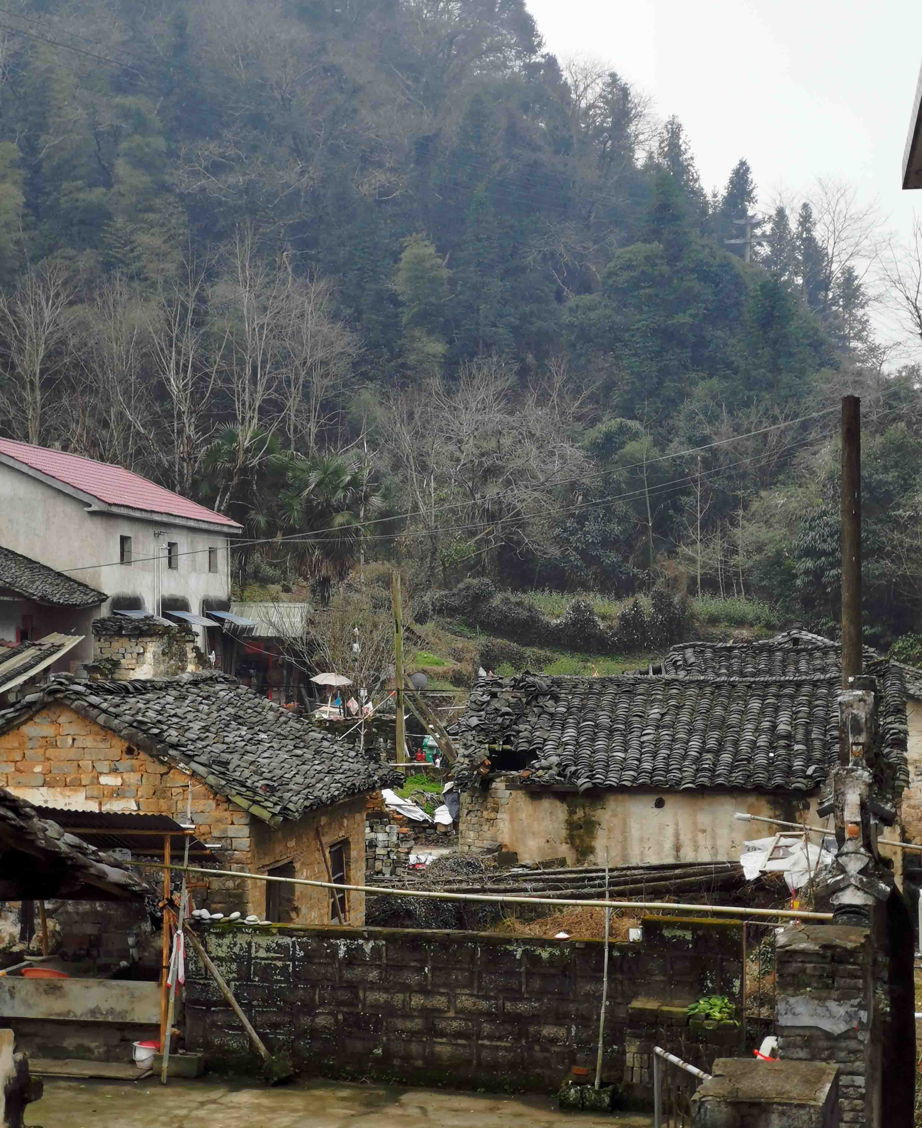 远处小母舅房屋