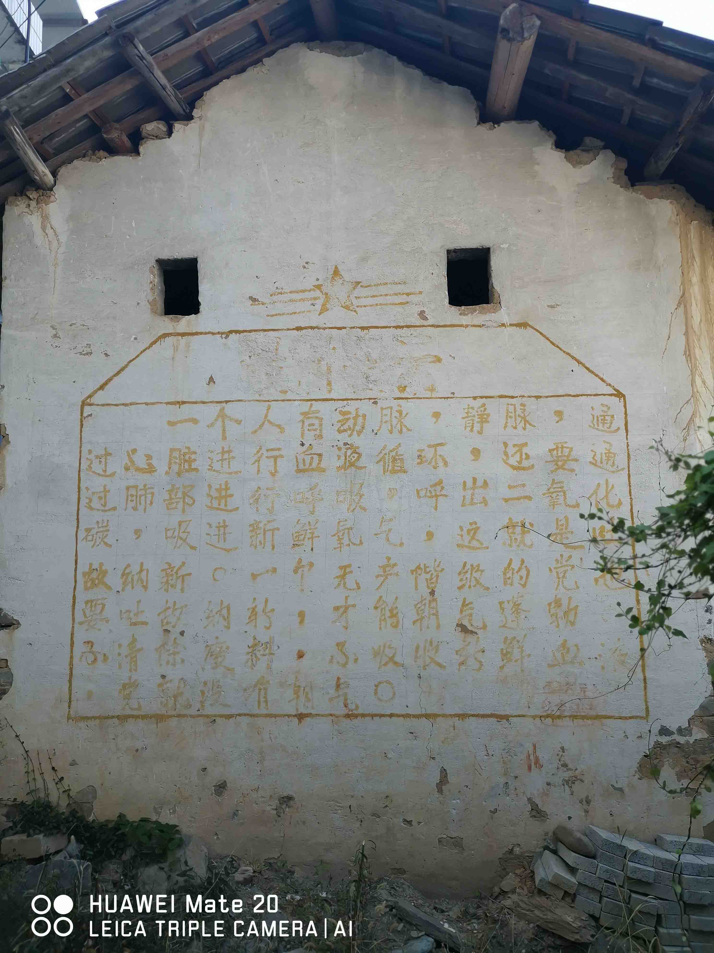 桃子姐还在房屋