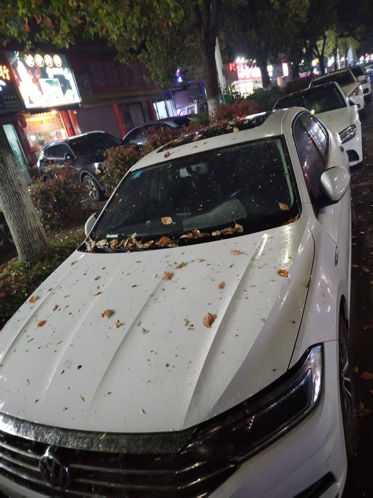 停在临湖路两边的车子的状况 (3).jpg