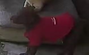 20260422135140front2_0_401448_FtCfF82q390fVTdGf5OYXIi1kg2P.jpg