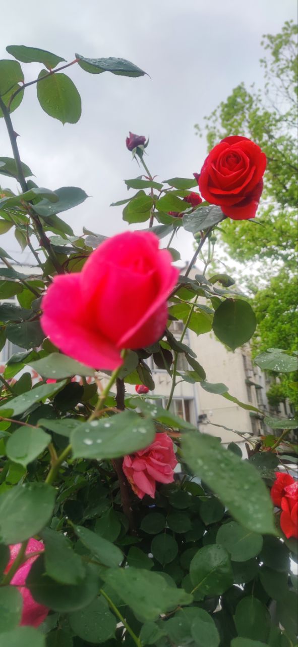 20260423161833front2_0_191522_FiPe9YNKcyIFySdtx6FYdBQVek9p.jpg