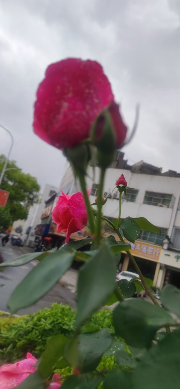 20260423161833front2_0_191522_Fm_o-plIdyADEBZ6-bZxUfAQb8T0.jpg