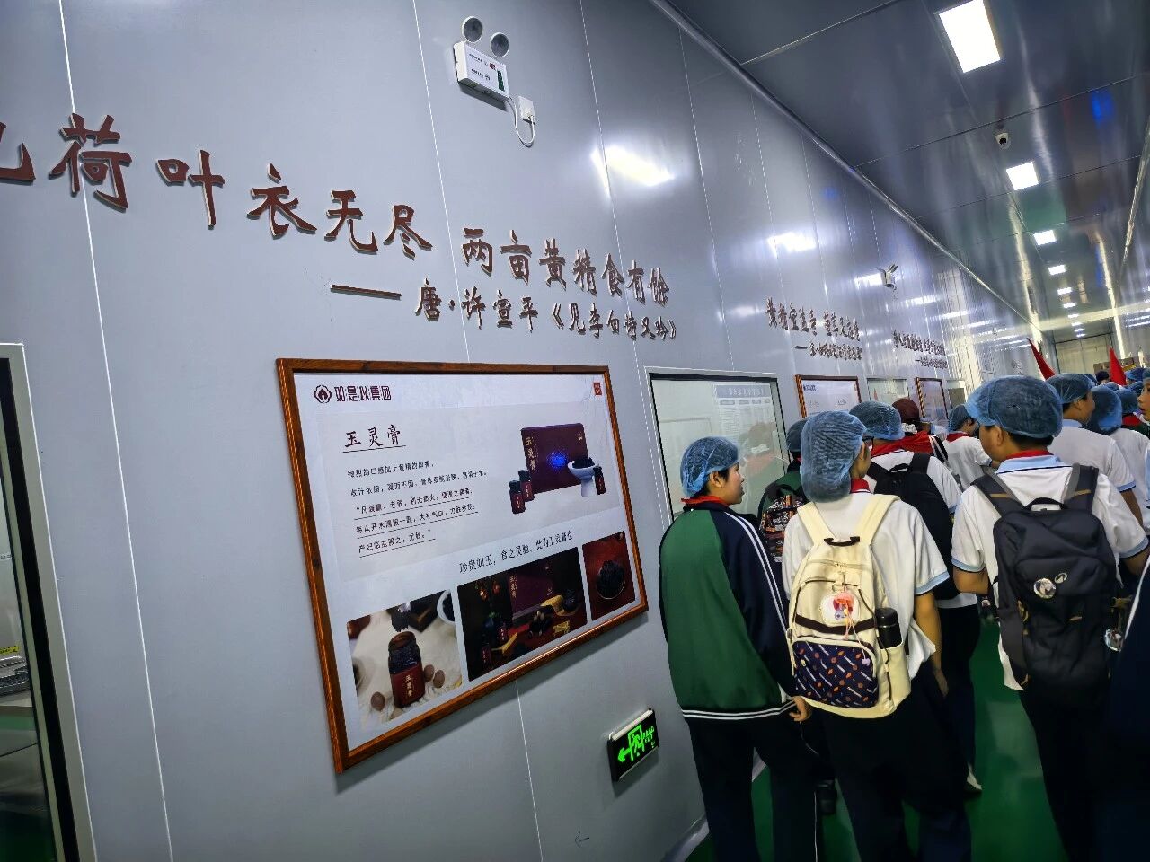 05.jpg