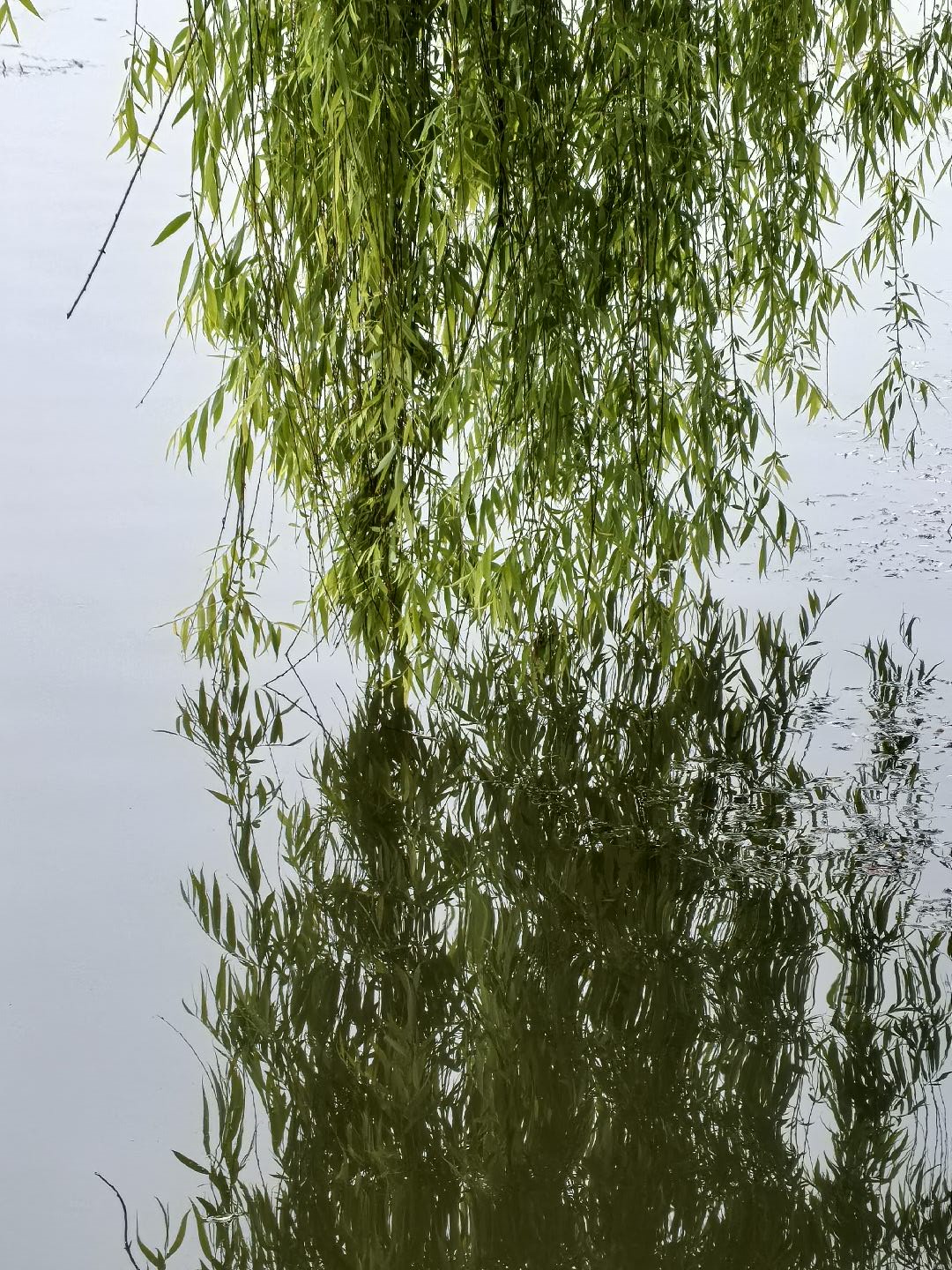 20260426074216front4_0_385123_Fl6l6aiyxSLzPkFrNX8Y7M-pcX0_.jpg
