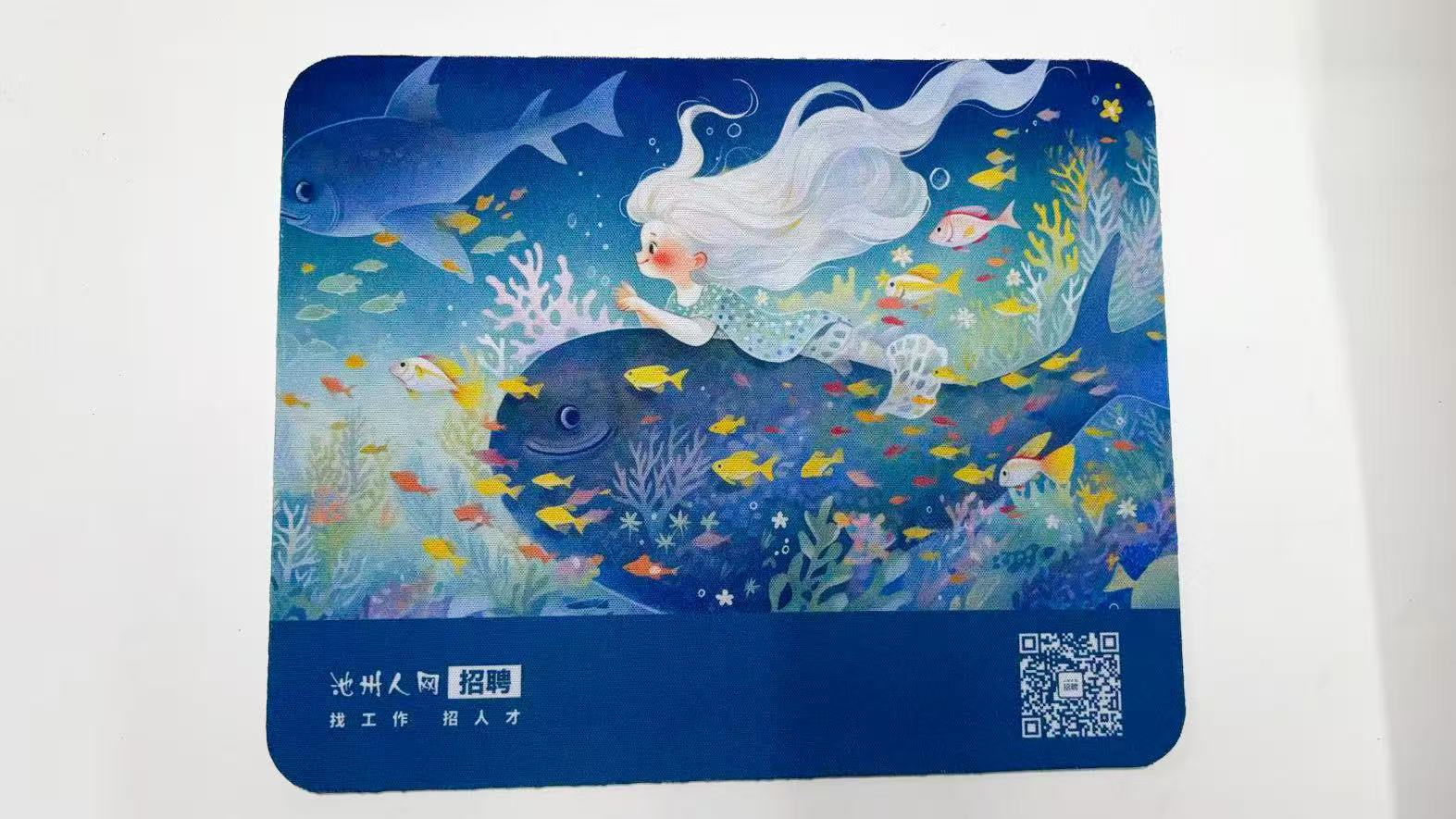 微信图片_20260428100857_1368_160.jpg