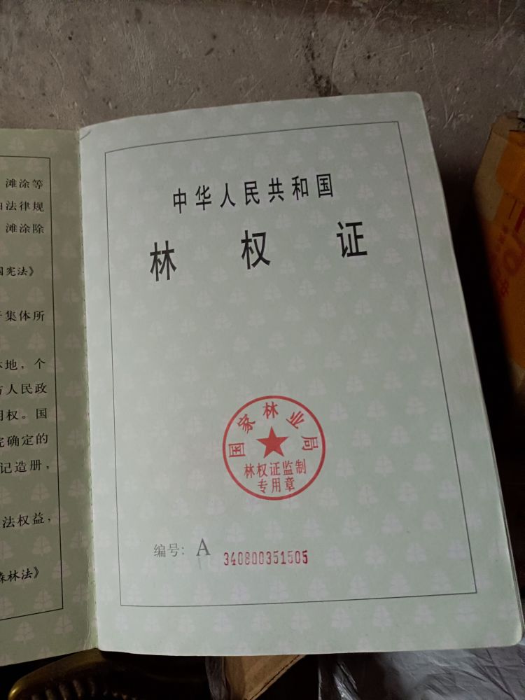 20260505064644front2_0_328360_FqN-M-1a84gJ4fpxwN-DeS_9Uqol.jpg