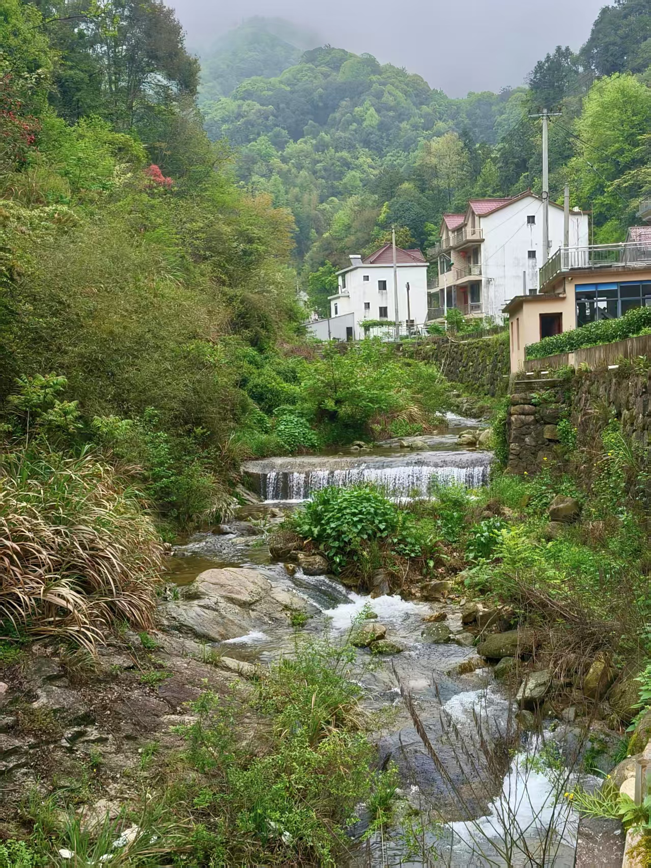 走进霄坑，1.jpg