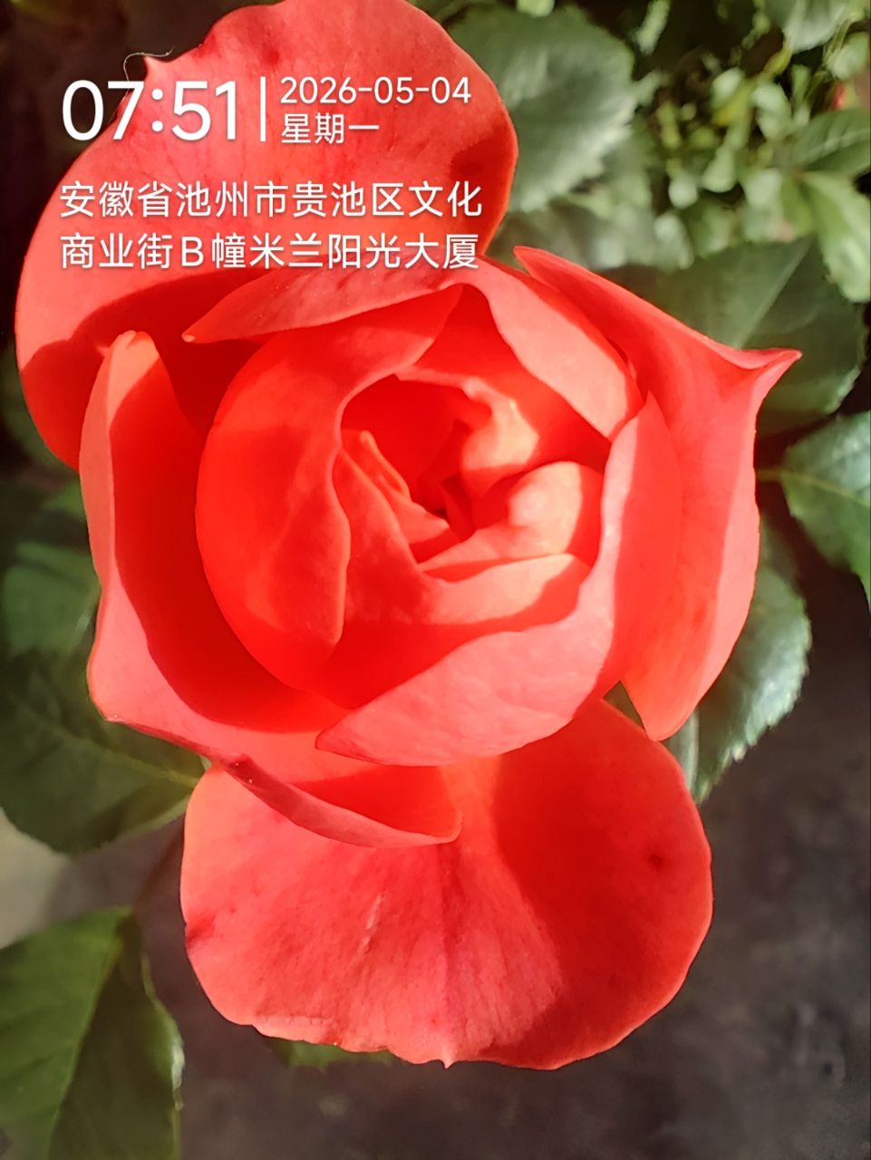 20260505181928front2_0_279132_FjW837rrNbLJ1O6OkqvUzonEkIYq.jpg