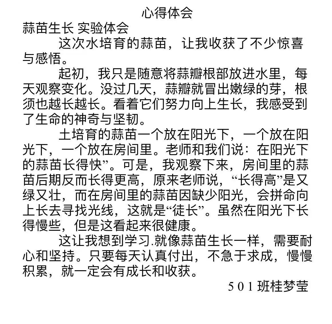 05.jpg