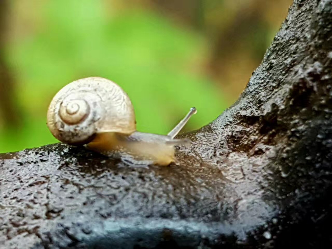 20260507180745front2_0_390386_FgUu4jB-7k-P7sku40r2Jw7EgcQr.jpg