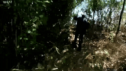 640 (1).gif