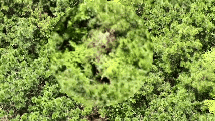 640 (2).gif