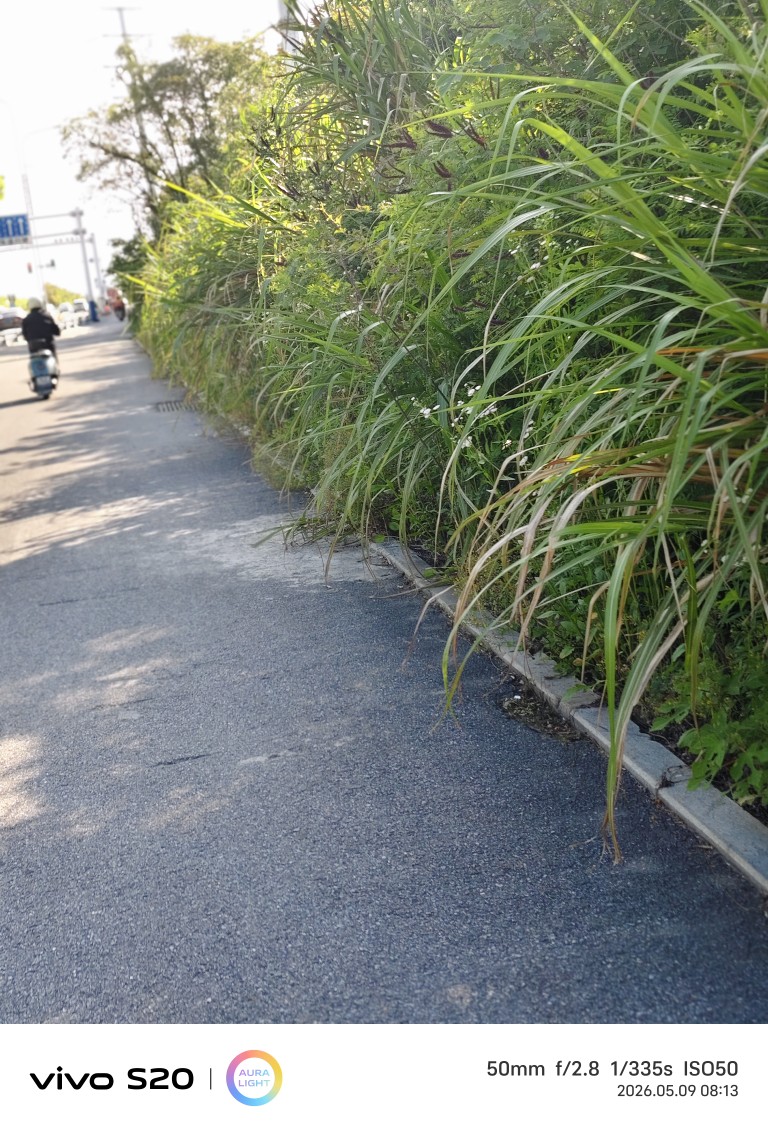20260509083708front2_0_333154_FlunfT34WtANOKHypPzXYvAoCz0C.jpg