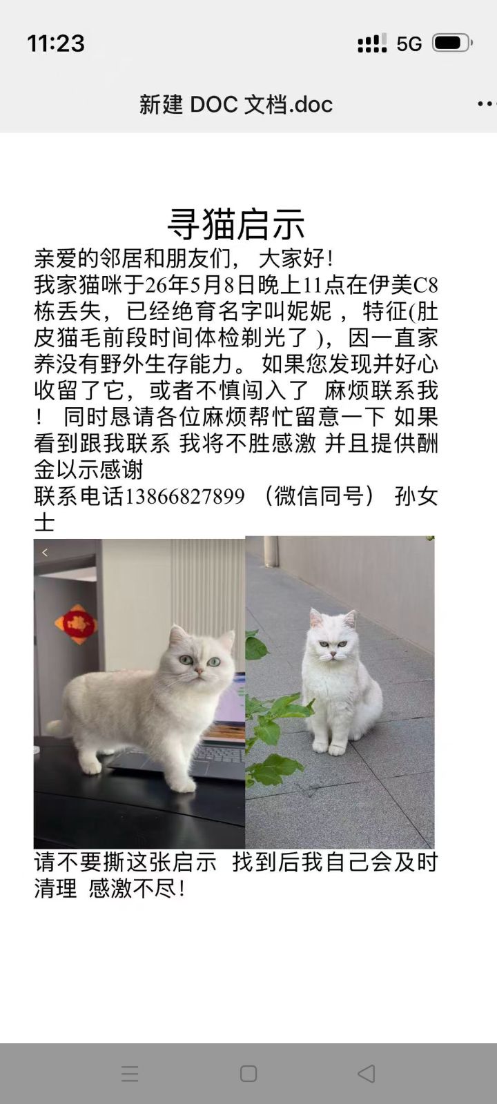 20260509190216front2_0_310805_FhK1y99nMpO505cDhLoyfrP5mr67.jpg