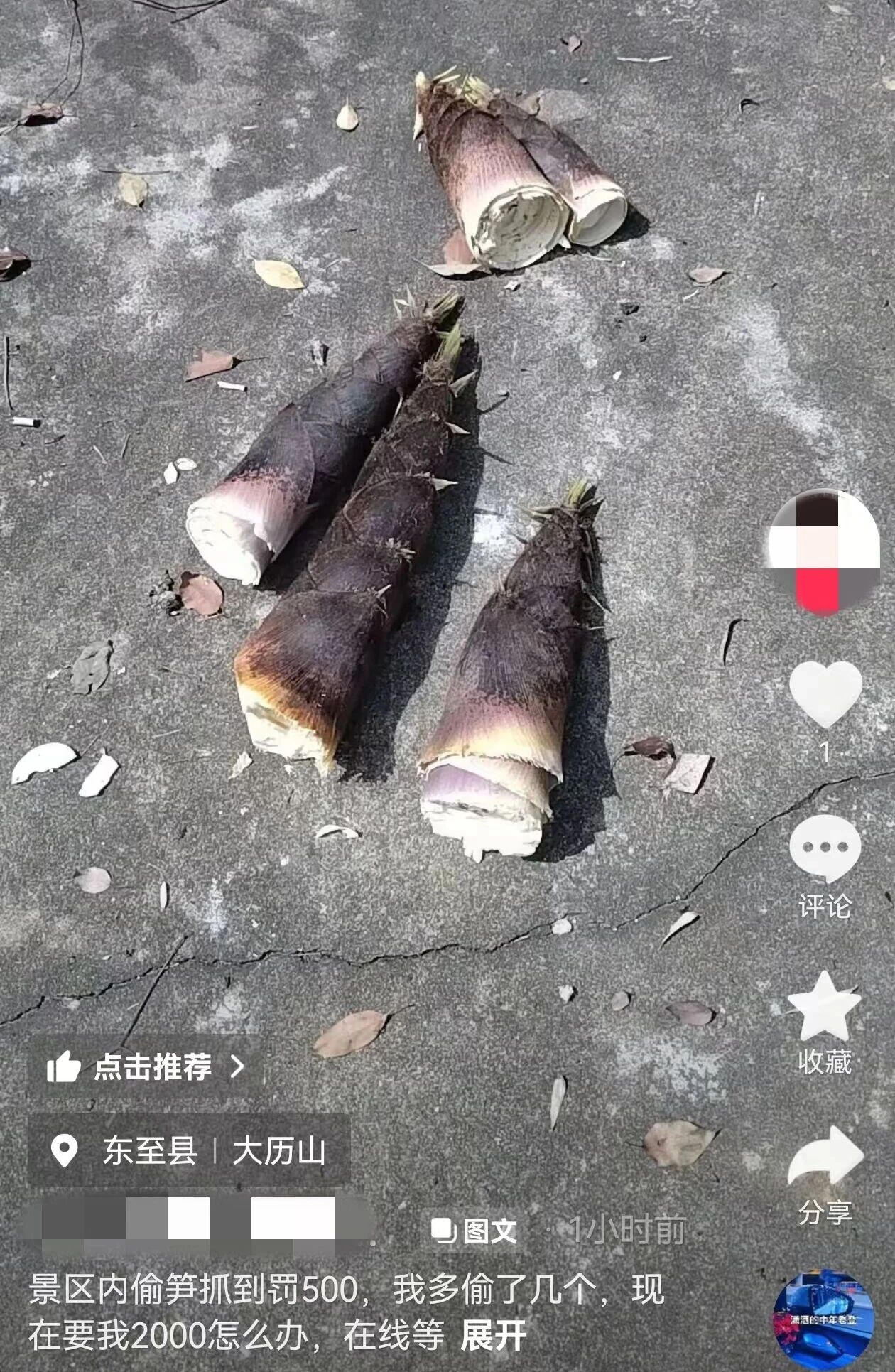 微信图片_2026-05-11_161524_540.jpg