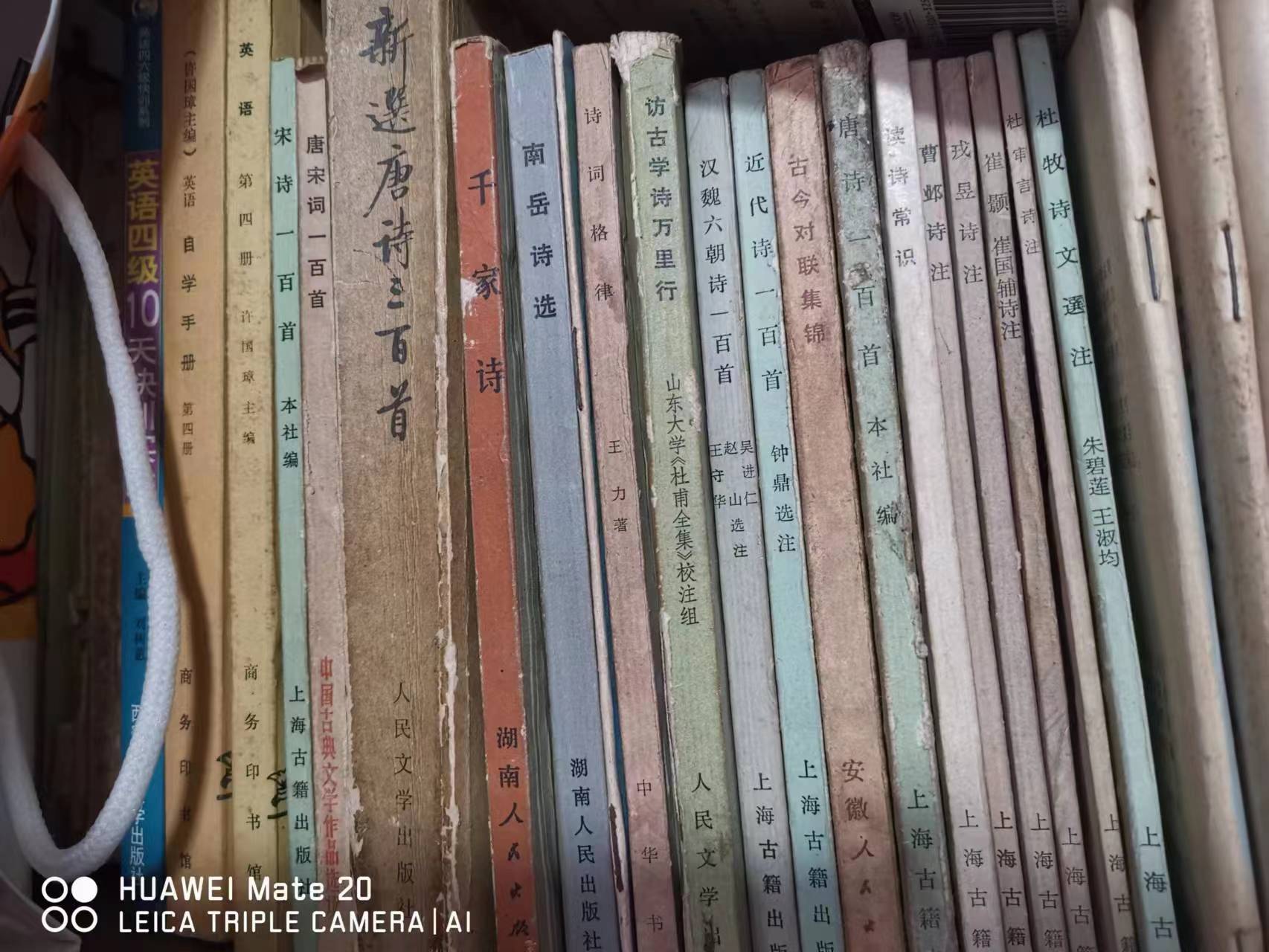 过去买的诗歌书