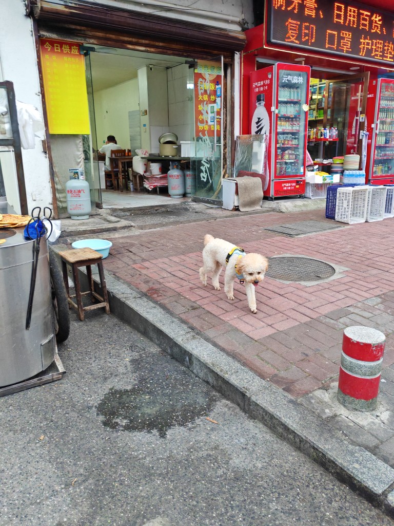 20260514180845front2_0_261232_Fv3VgzNtfYAniv8GZBBFnB8_Yg5t.jpg
