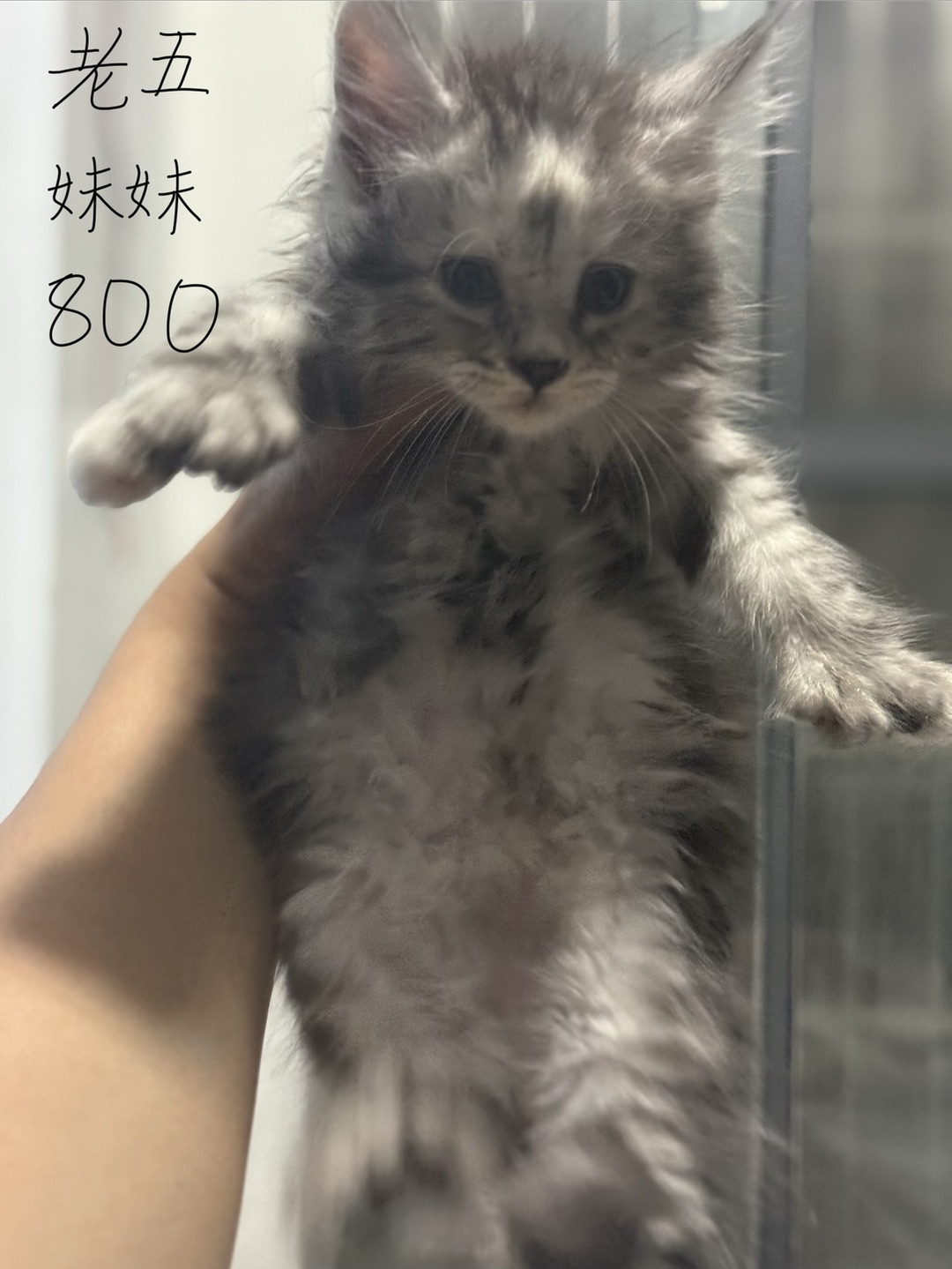 20260515214823front1_0_406888_Fo4OP4rfkfEBBOixrgagYh1QMzH7.jpg