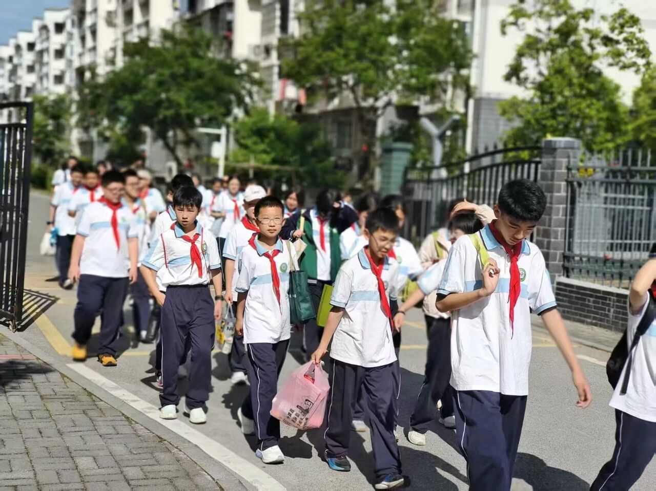 微信图片_2026-05-18_075224_315.jpg