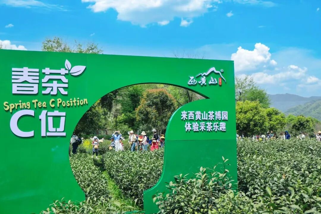 微信图片_2026-05-18_082717_709.jpg
