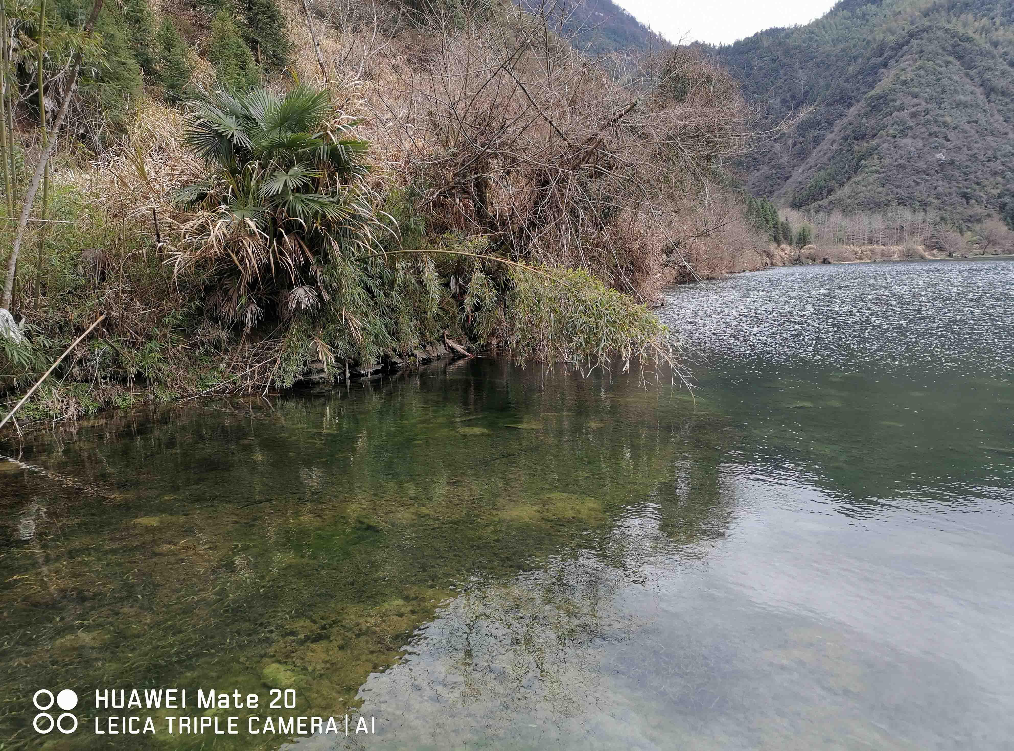 远望下山
