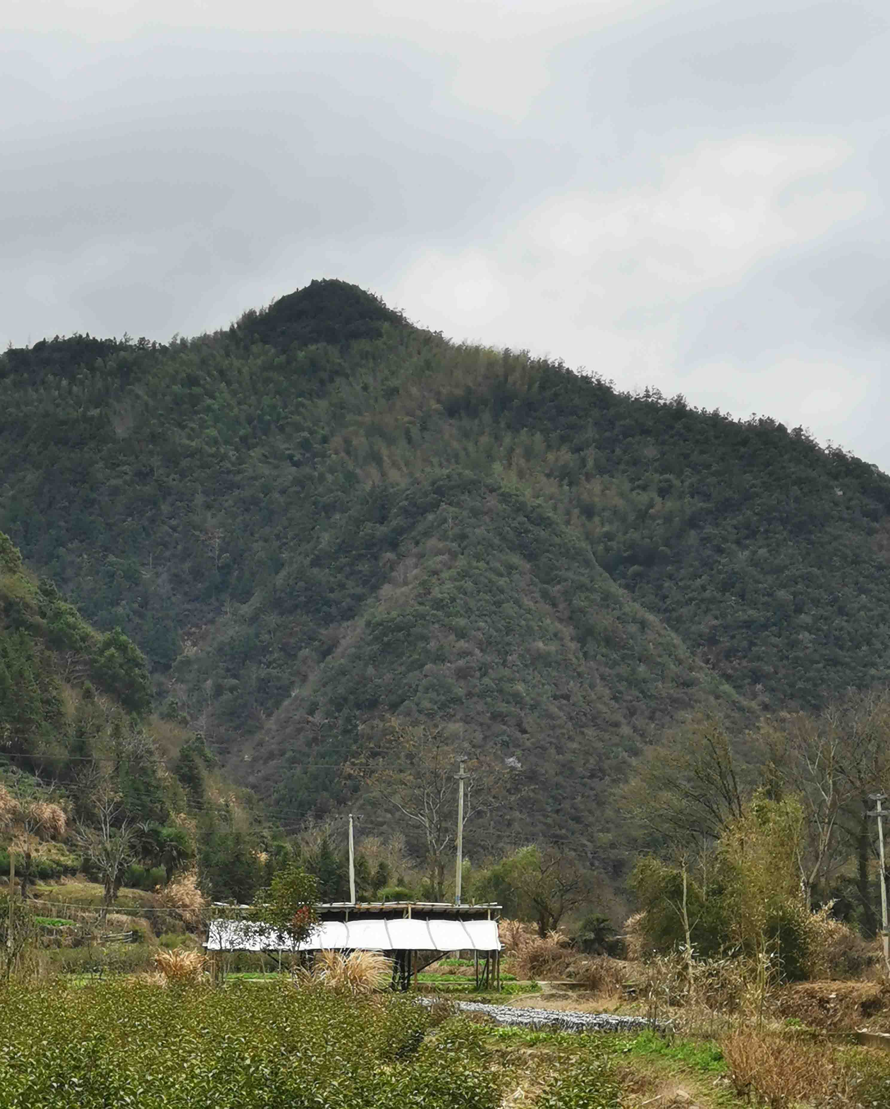 上山下山山顶