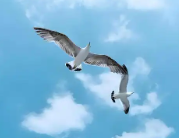177831722638118422.png
