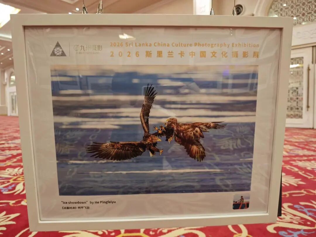 微信图片_2026-05-21_110000_813.jpg
