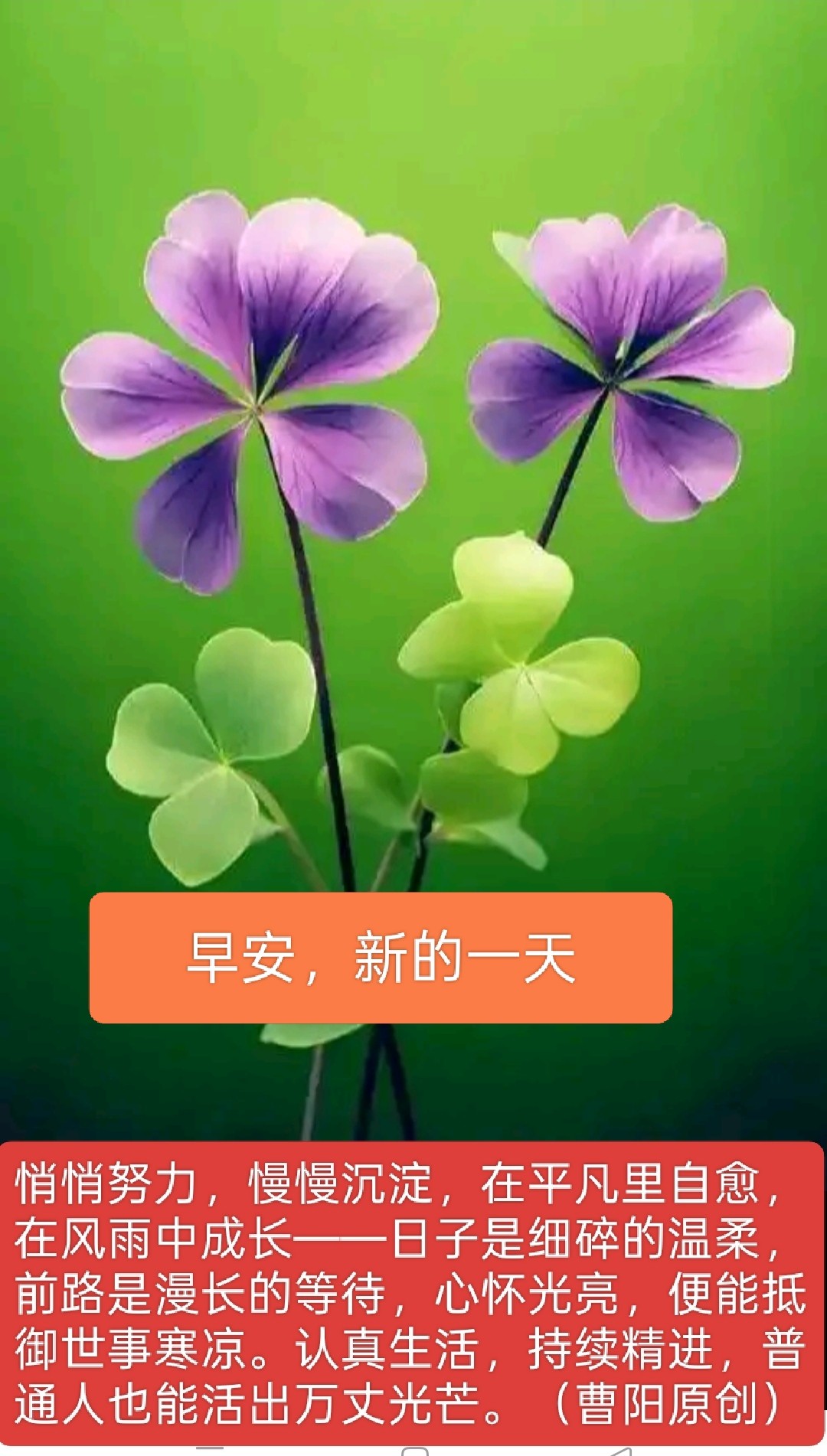 20260527111242front2_0_294866_FnjNFA6yMBiNb9fBVfQXgzFW6OR3.jpg