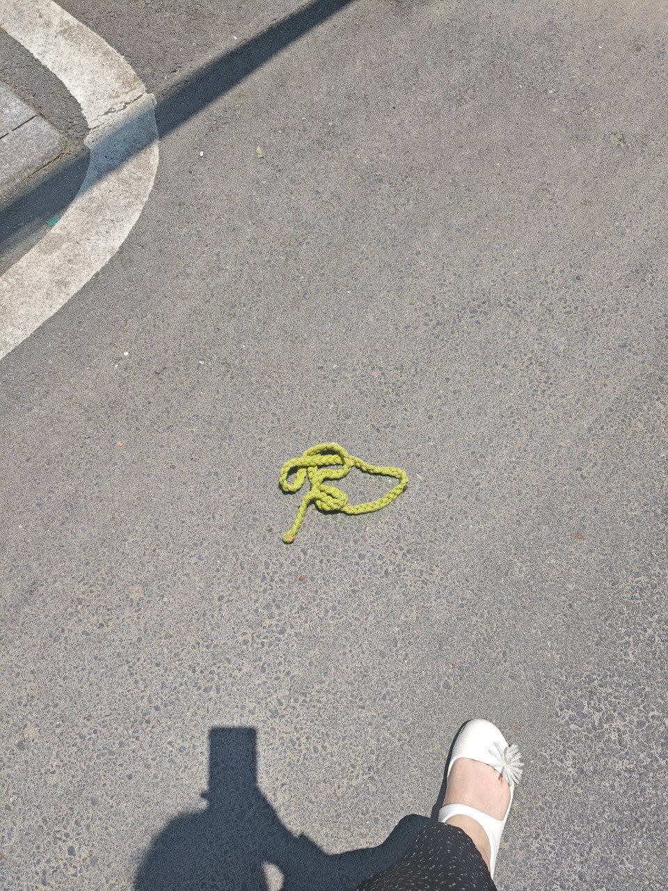 178021406187947419.jpg