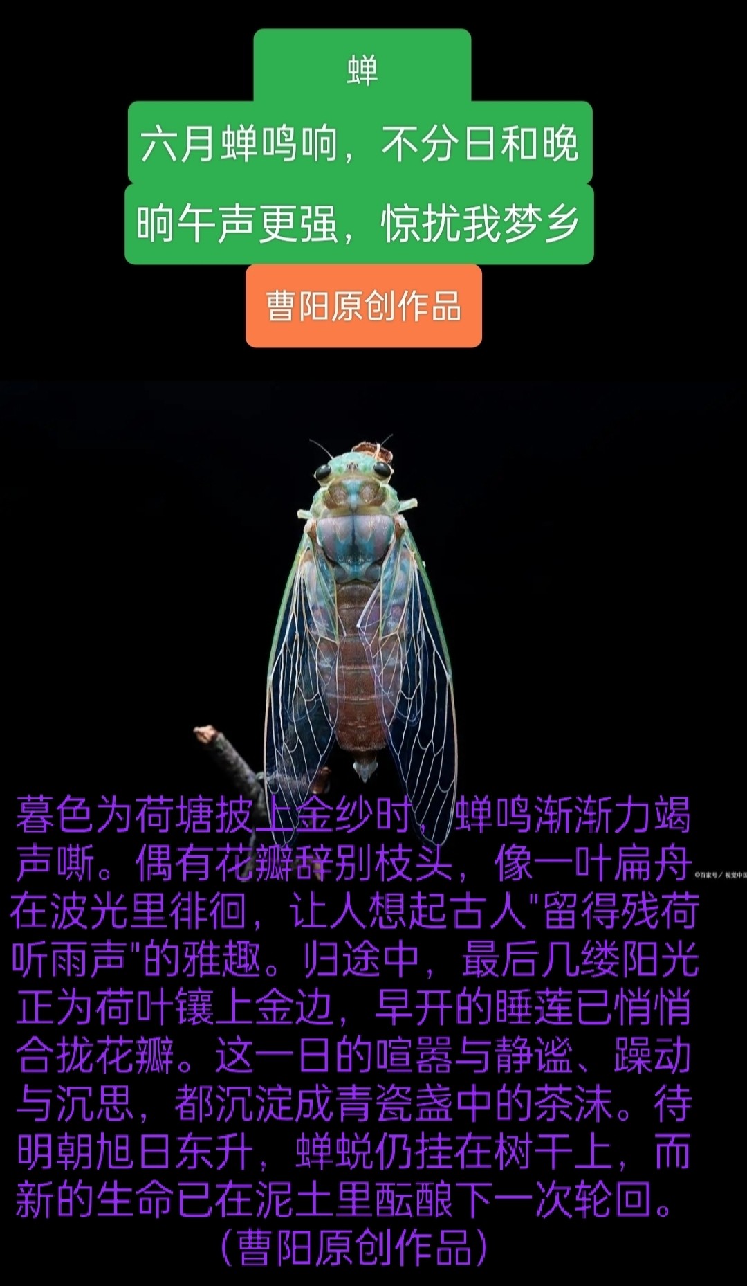 20260601160920front2_0_294866_FoI8TaWtf_tiS1hGbbDao88Rnmle.jpg