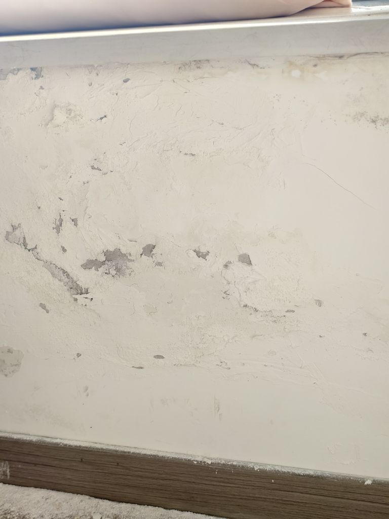 20260603122736front2_0_287870_FpALkdM6DIsdyJya77KDfDebh44h.jpg
