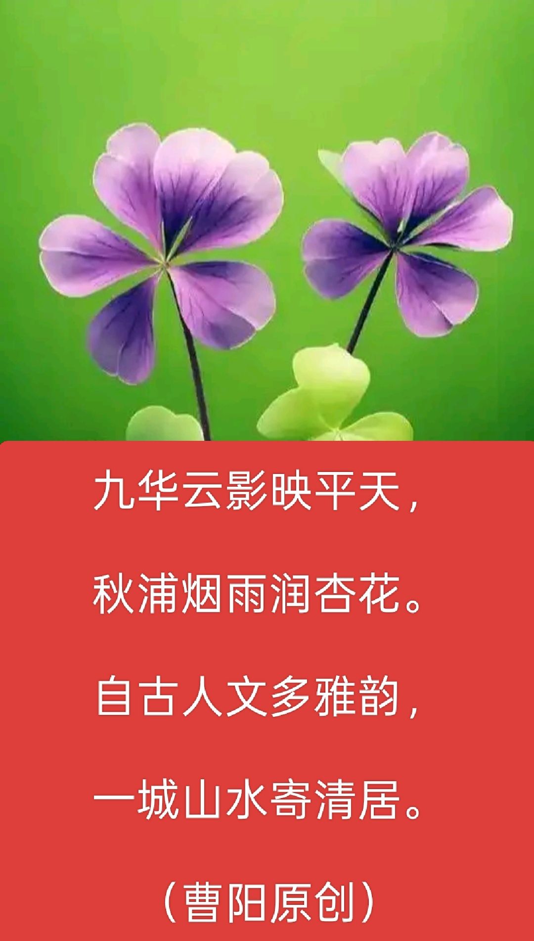 20260609203708front2_0_294866_FsayljHtqZ6VqITYda1LBbJNCfCz.jpg