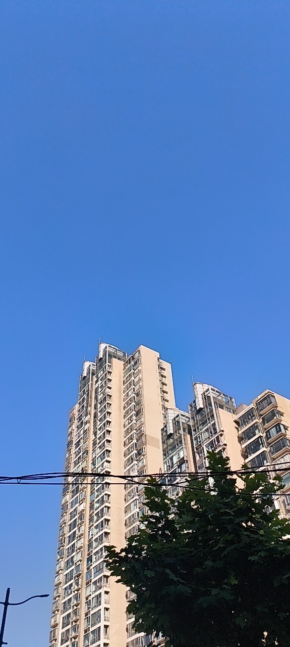 20260610064703front2_0_407875_FuFLn6O7tfiC6nxaqM95tkPzuCU3.jpg