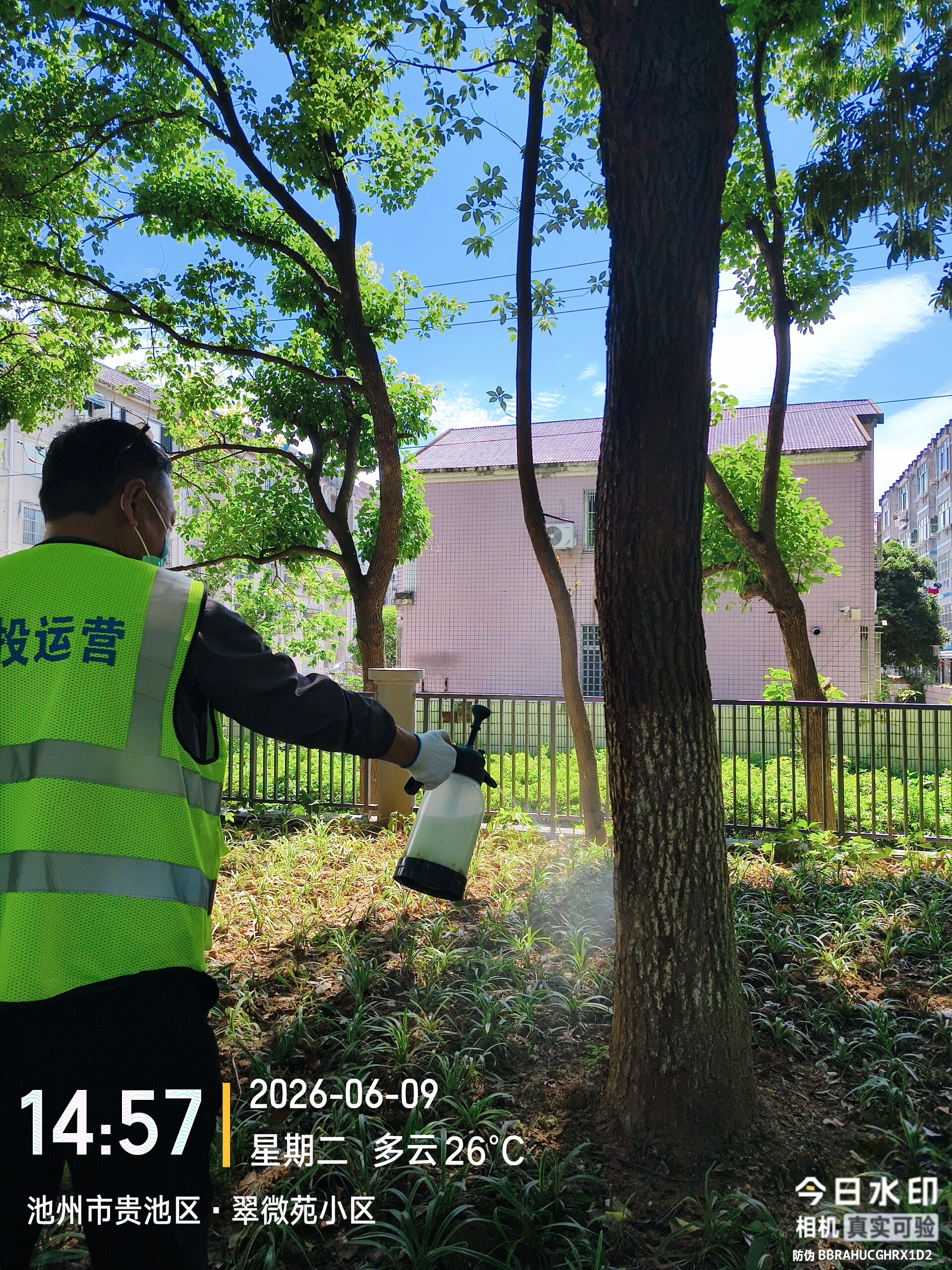 d2c082d247fee0f8e781348a53b33a1a.jpg