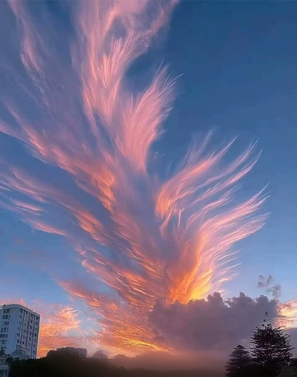 20260611192227front2_0_191522_FolMMkTuViZpwR9pzjq4Ulb4_2SW.png
