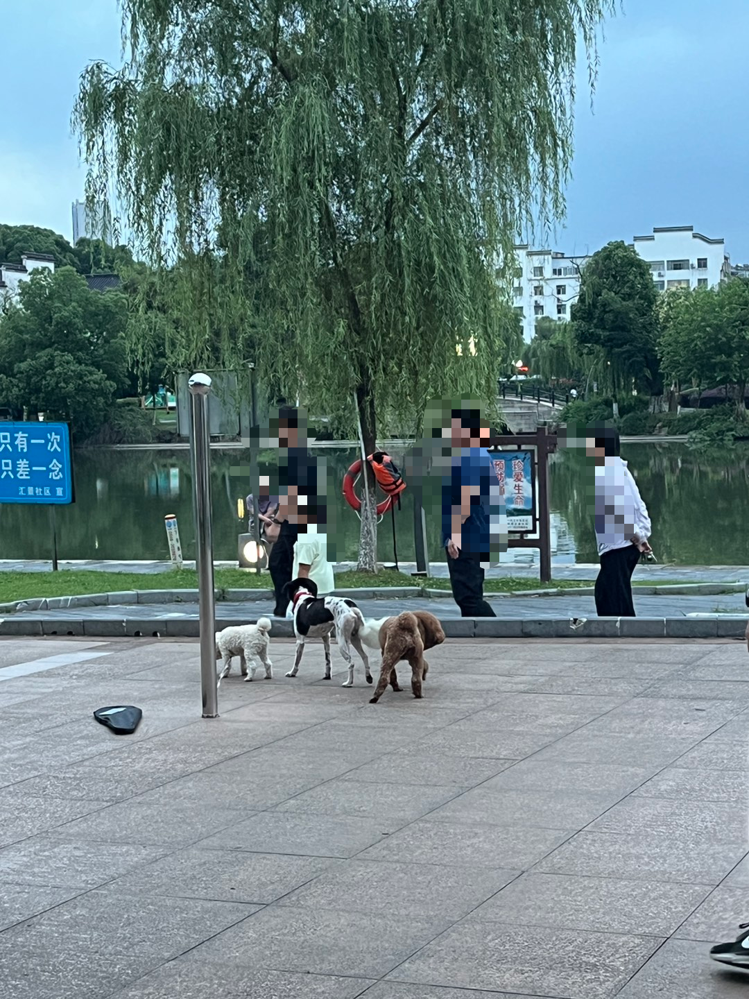 微信图片_20260613190958_1702_160.png