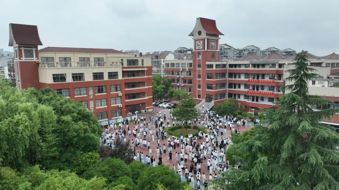微信图片_2026-06-14_094155_547.jpg