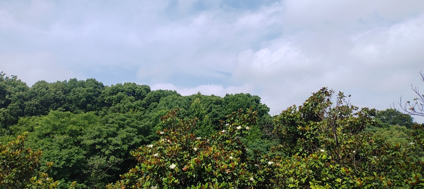 20260616094652front2_0_417570_Fkjs0DOaIJtHXGyNW-Td1dYh8U2V.jpg