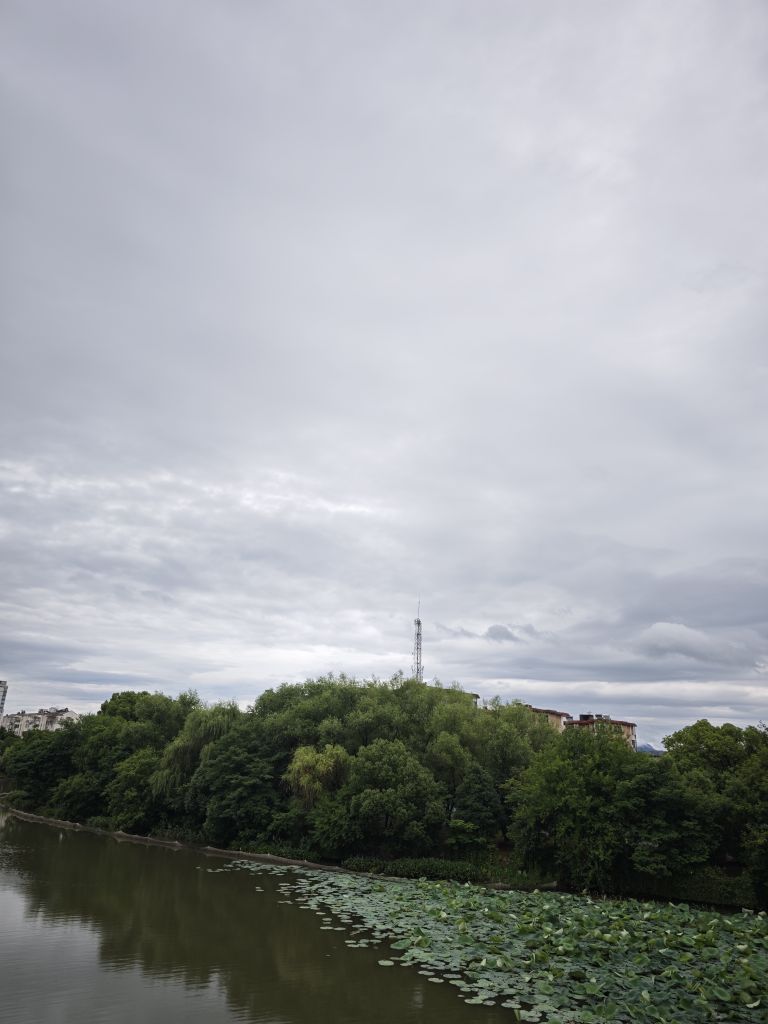 20260619114858front2_0_14529_FuRzu2i2hz2nbM9Z6maTt2HCahZa.jpg