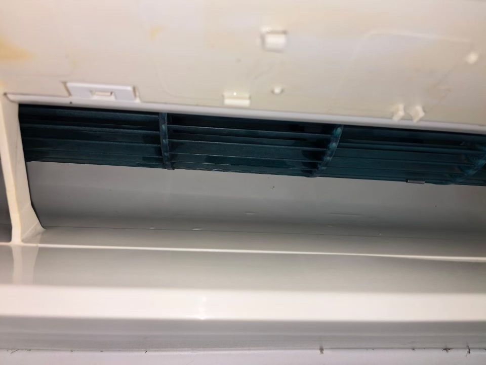 20260620094921front2_0_417292_FpsQA_mFwEuLIHCV163JDv20SgsJ.jpg
