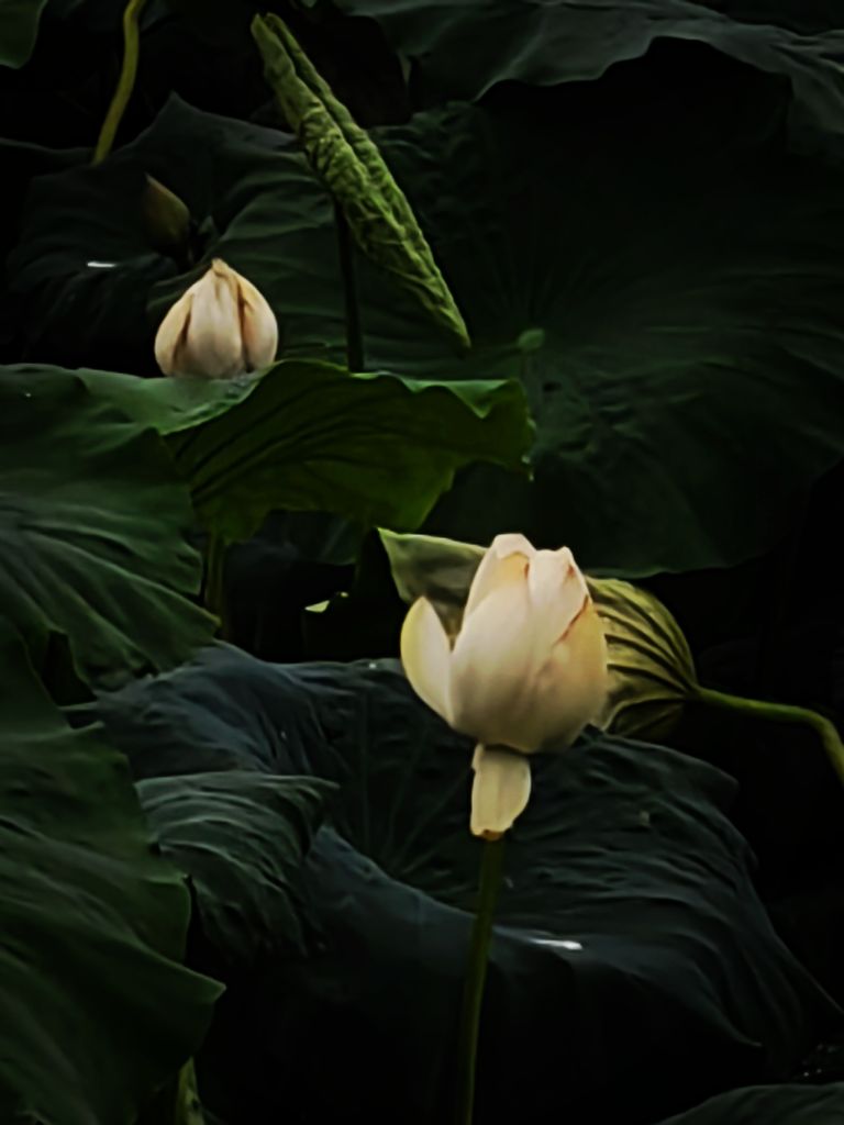 20260622053250front2_0_198517_FrNiZhUz9hasx4F-TII4Pmt8HON1.jpg