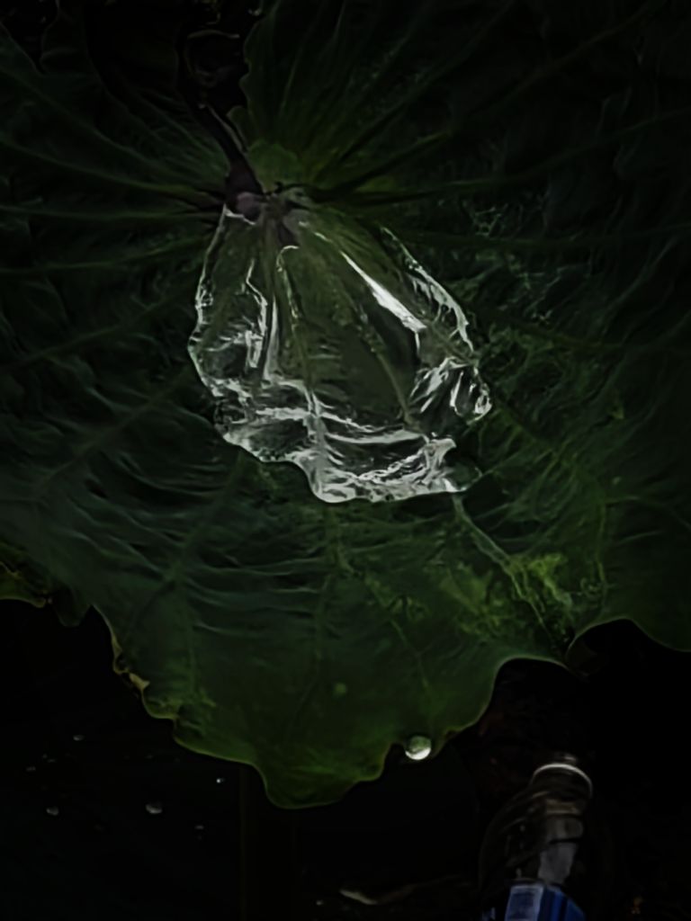 20260622053249front2_0_198517_FjdzL4DStLJD9vJXNWKpeAJfN1Qn.jpg