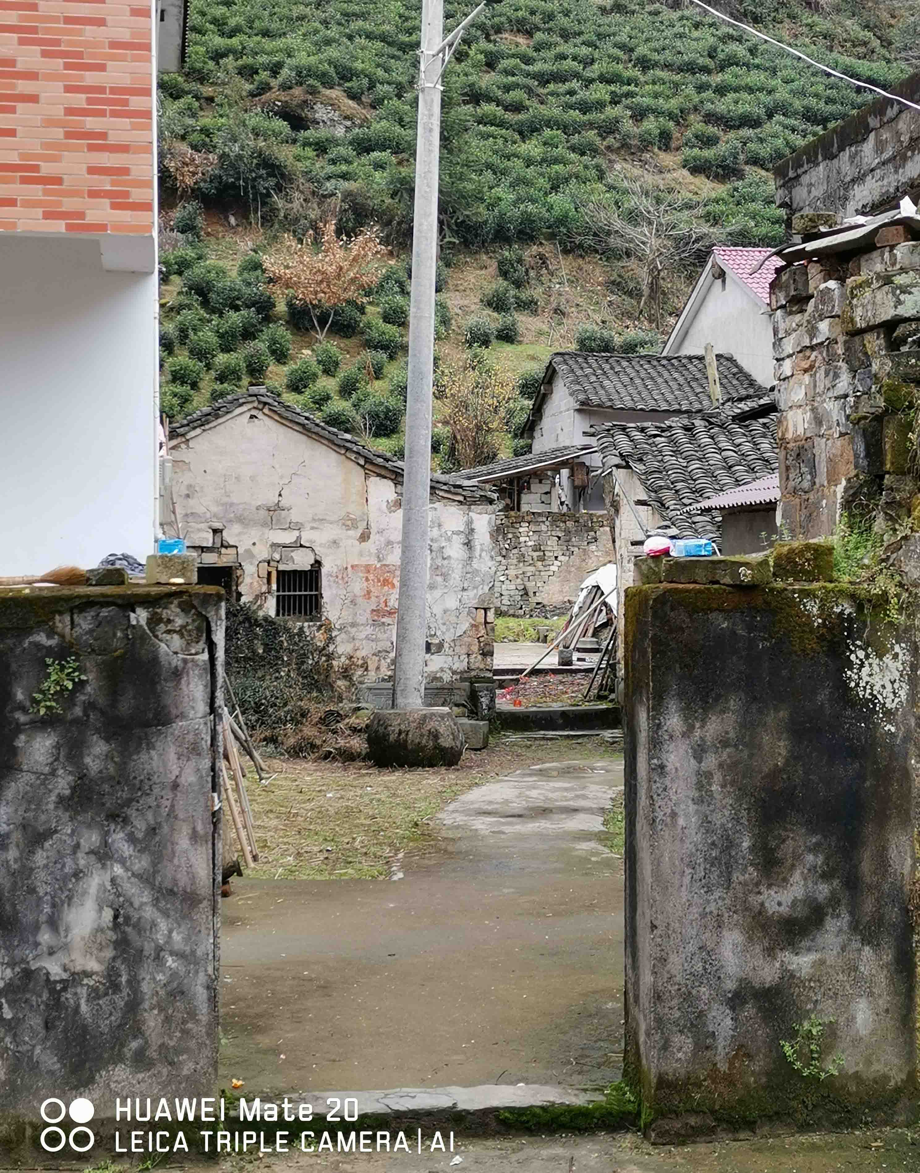 背屋槽门口